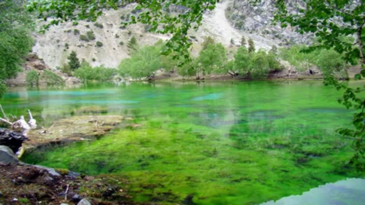gillani