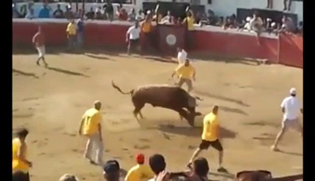 On ne joue pas avec un taureau! C'est le taureau qui joue avec vous!