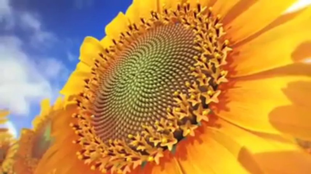 Evrendeki Kusursuz Simetri