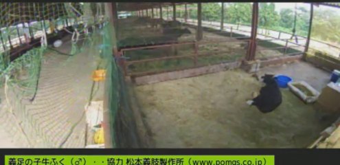 20130829　ケイちゃん元気元気