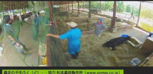 20130829　伊東先生、しずお姉さん他