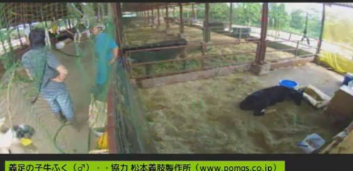 20130829　伊東先生、針さん