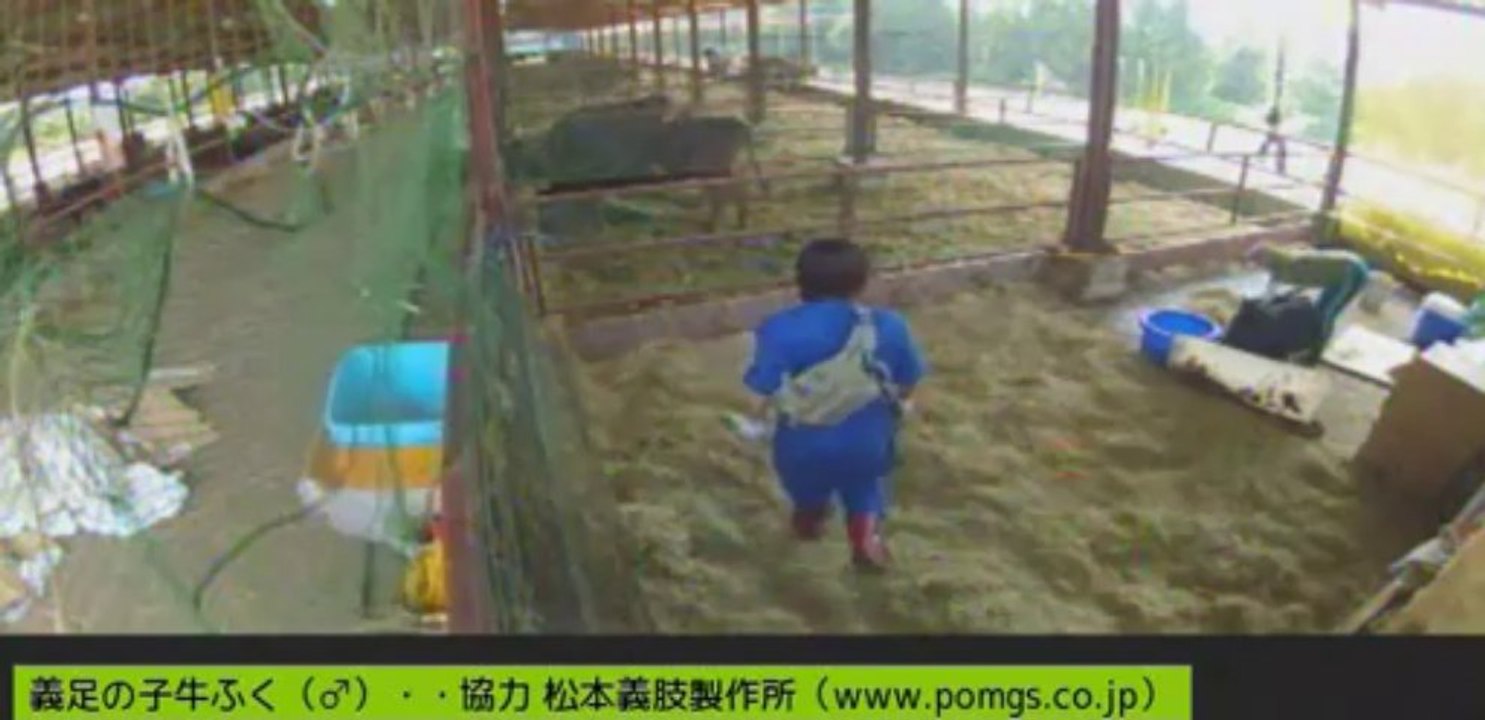 20130830　ぎんちゃん、女子ボラさん