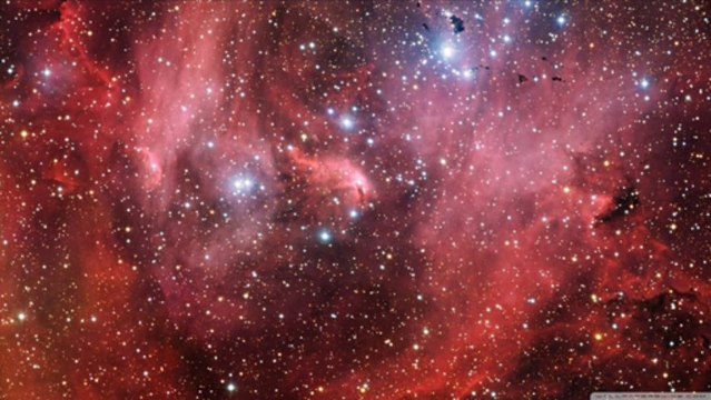 His Latest Flame - Elvis Presley Cover by RoBo