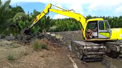 swamp excavator tambak udang