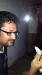 indian spectacled cobra rescue