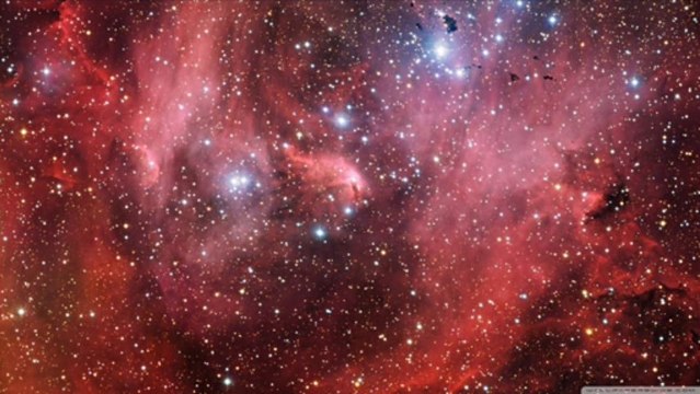 Loving You - Elvis Presley Cover by RoBo