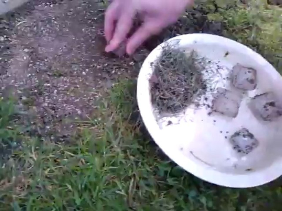 Idée appéritif : glaçons pannés bios !