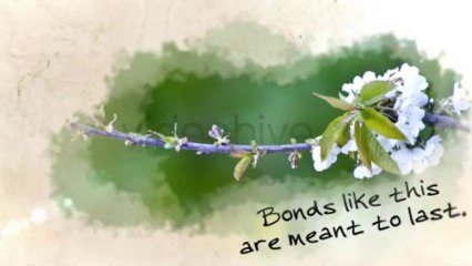 My Journey V.3 - After Effects Template