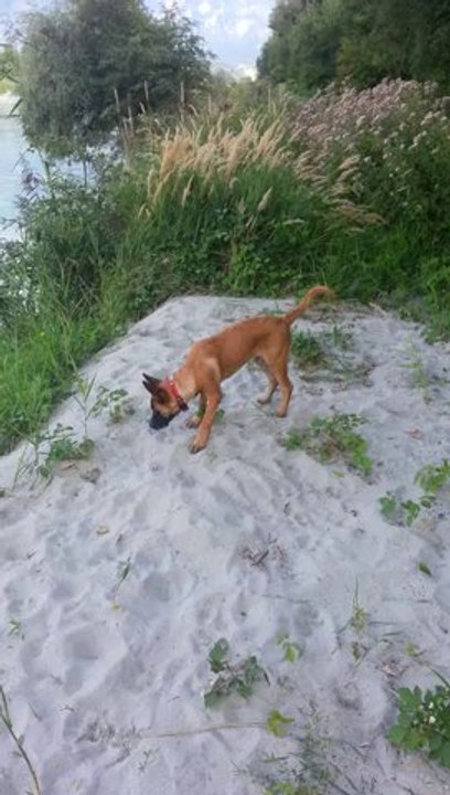 zeus et le sable