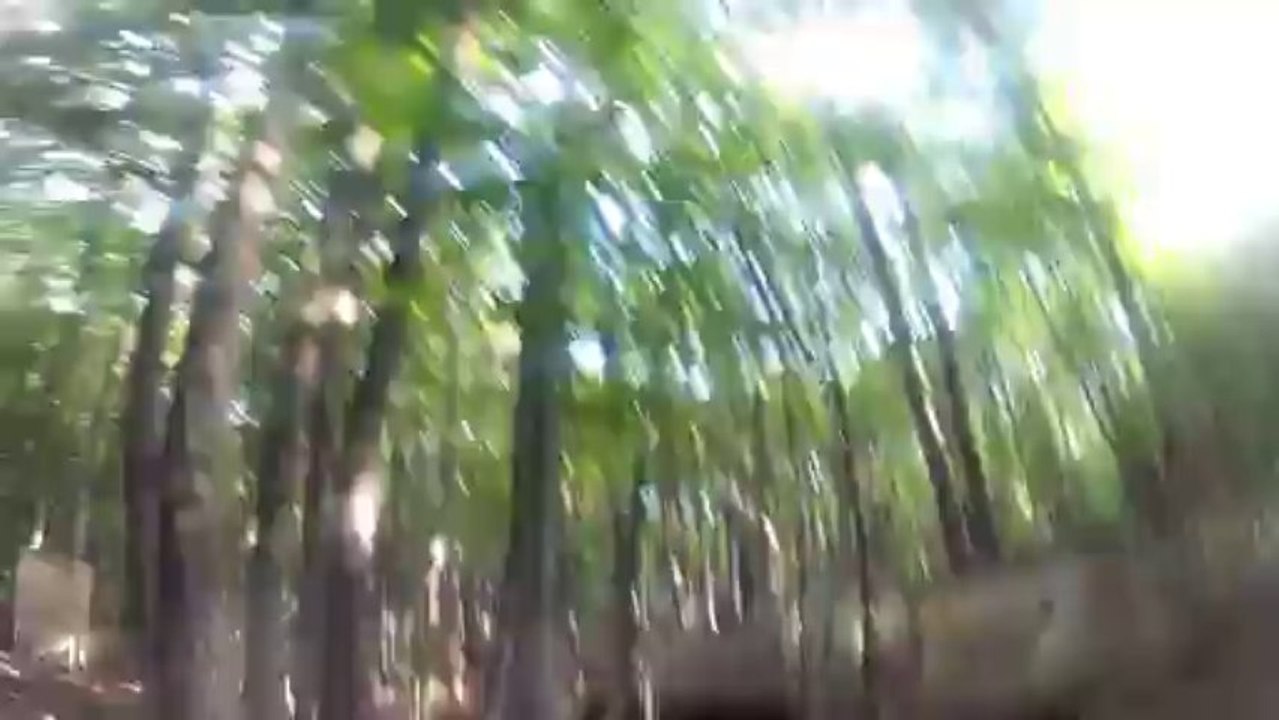 Paintball atomik day 31082013