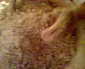 zamitta.....aissaoua tenes.....aout 2013