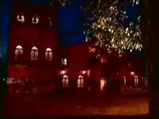 NORMA ELIZONDO (norma perde sono)