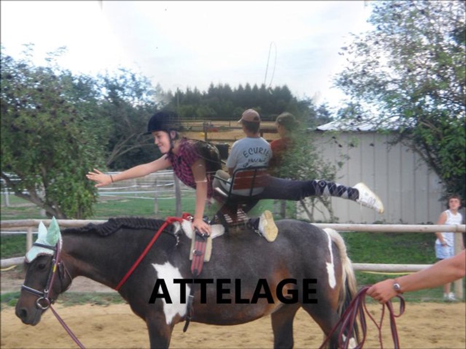 Ecuries jul'hyppos Etriché Poney club Pension