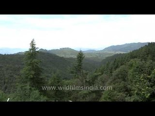 Around Advaita Ashram of Mayavati