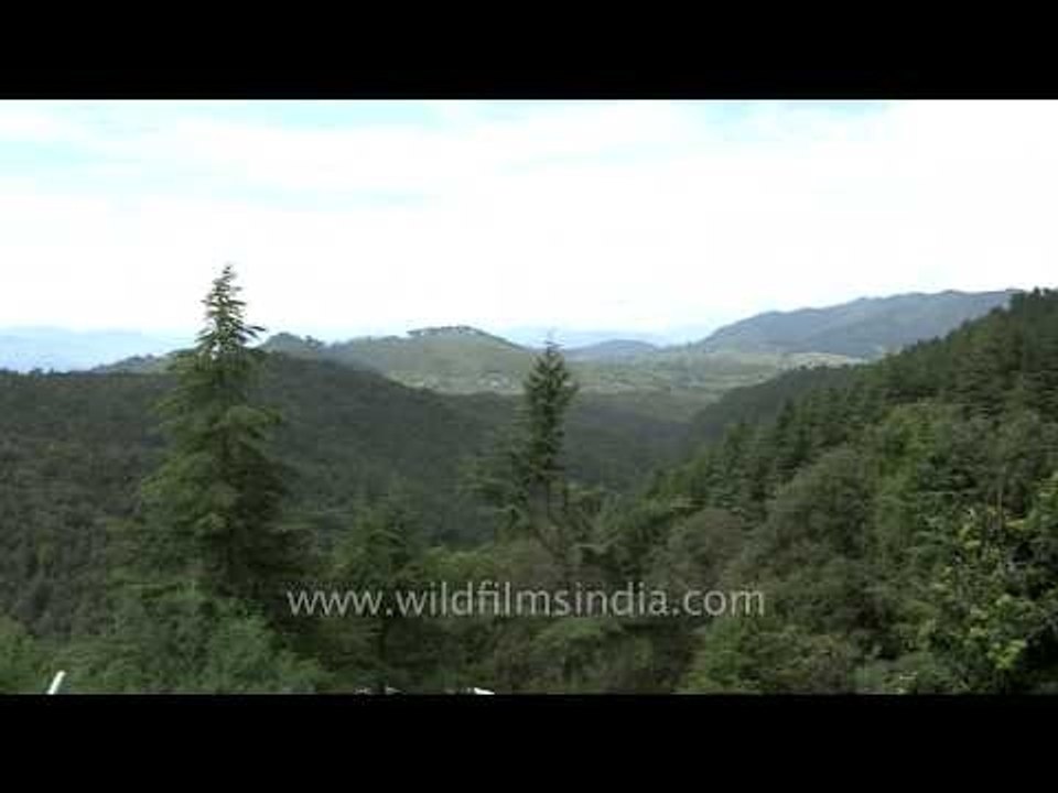 Around Advaita Ashram of Mayavati