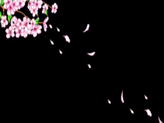 EBRU YAŞAR-- ateşim var külüm yok