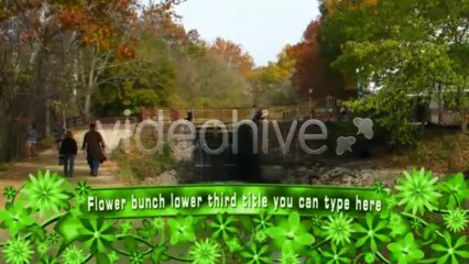 Cool Flower Bed - After Effects Template