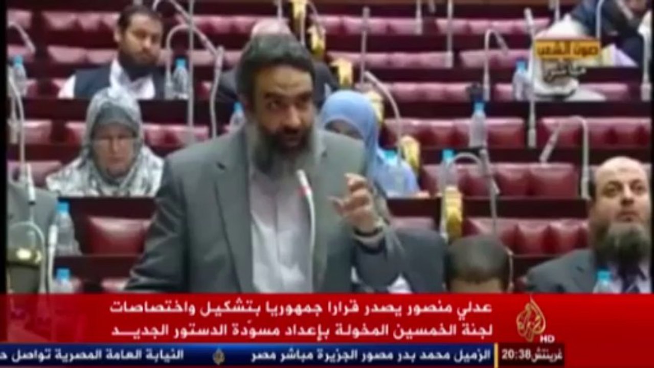 قرار تشكيل لجنة إعداد مسوّدة الدستور المصري