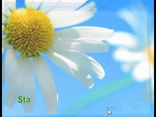 How to find my Windows 8 product key on  computer