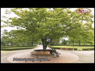 Ngayong Lunes sa "The Snow Queen" (September 2) mamayang 5:30 pm sa Net25