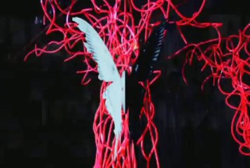 Nightmare - Swallowtail [PV]