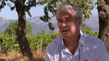 Vins à la carte - Majorque