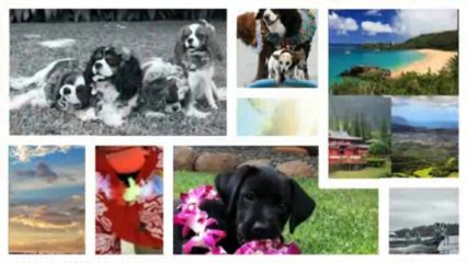 Excited to Move to Hawaii 🌺