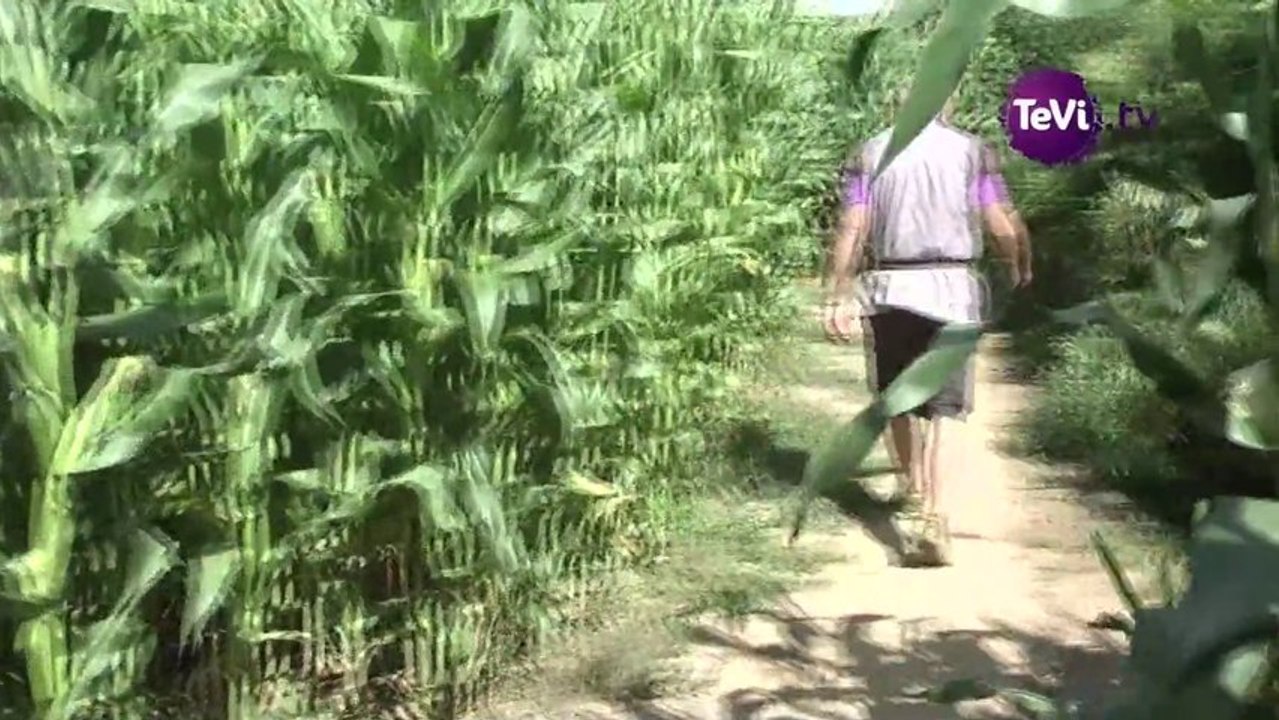 30 août 2013 - Actualités