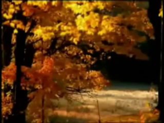 Nunzio Buono - Altre lune