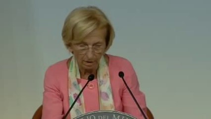 Roma - Consiglio dei ministri n. 20 (23.08.13)