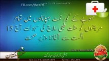 تحریک انصاف خیبرپختونخواہ 90 دن کی پیش رفت رپورٹ- ویڈیو - Facebook‬