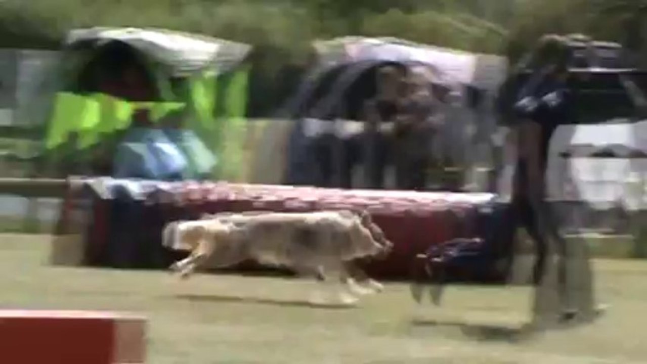 Chanel 3è degré St germ.Lap 01