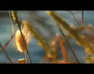 Nunzio Buono - Sentimi