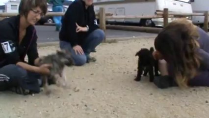 Bébés Elora Danan (2)