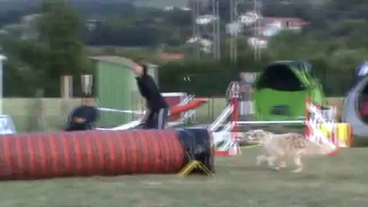 Chanel jumping + St germ.Lap 0