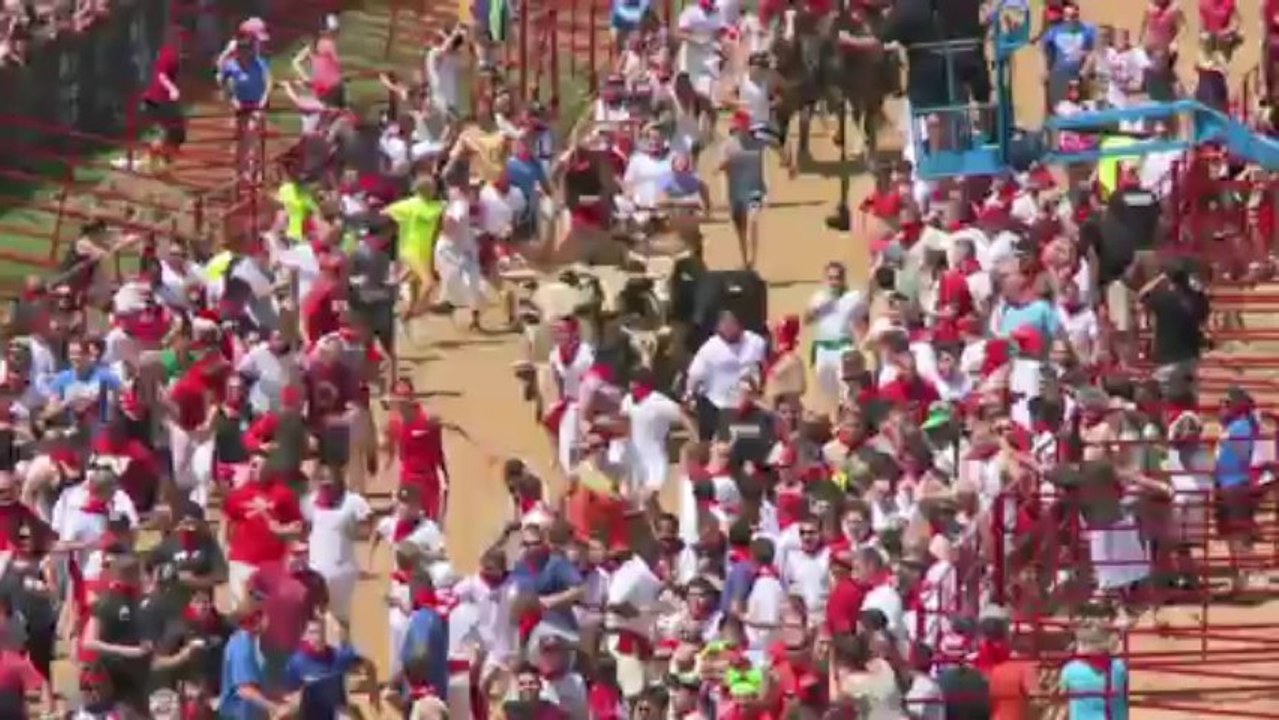 Stierrennen und tomatenschlacht - made in usa