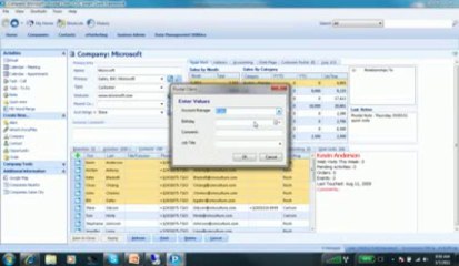 CRMCulture - Pivotal CRM Batch Editor