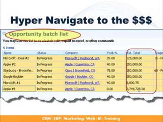 CRMCulture - Productivity Pack 3.0 for Pivotal CRM