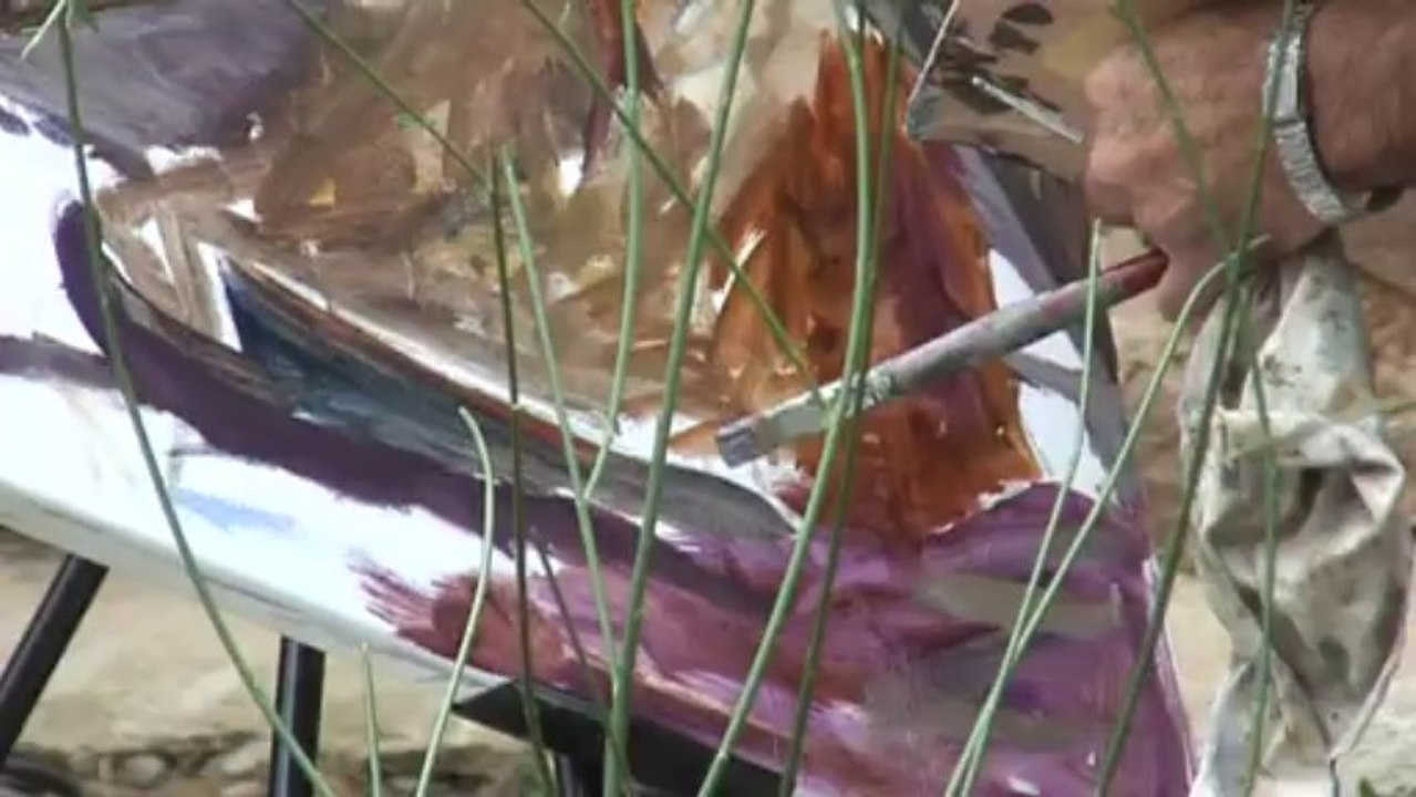 VLL 2013-08-25 Premi Pintura Rapida