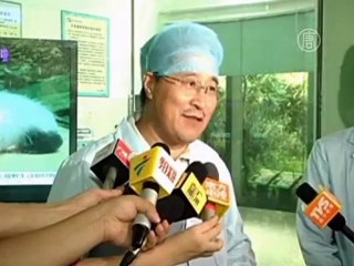 Как выглядят панды в месяц от роду