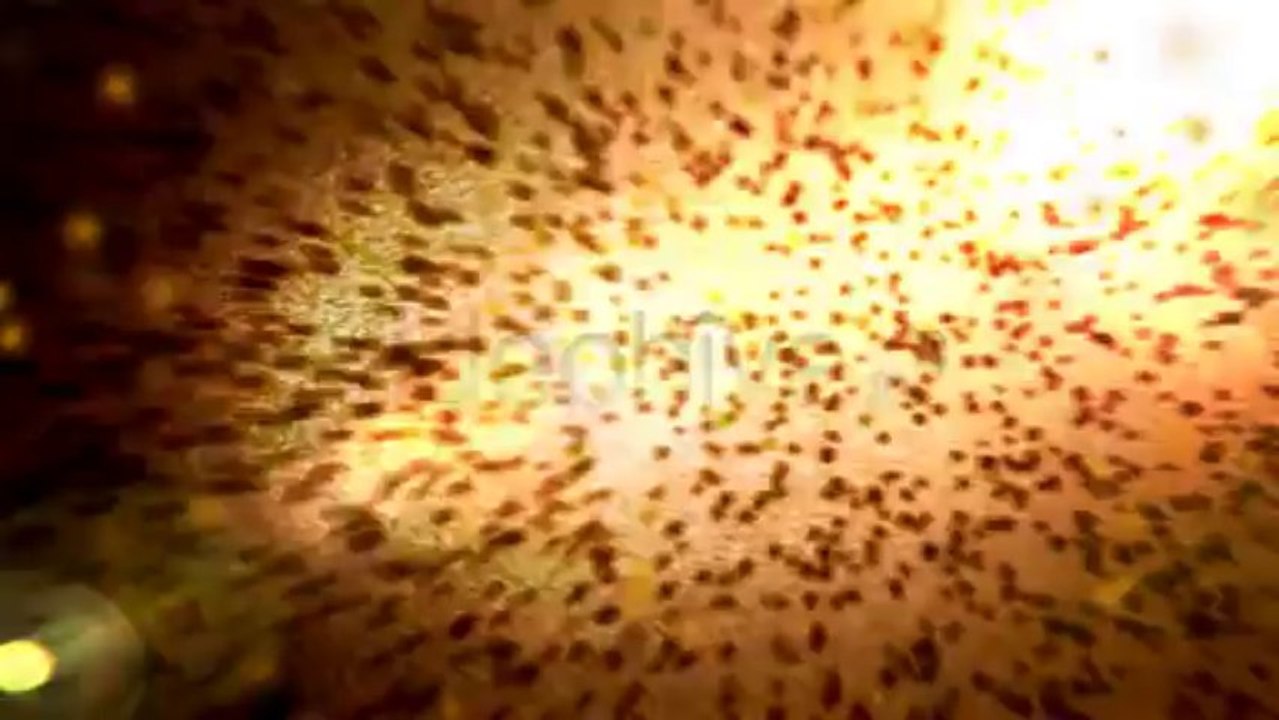 Sun Light Reveal - After Effects Template