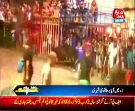 Bull Fighting in Spain. British National injured Badly