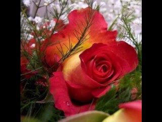 Tony G. All Voices & Music By Me - I'm Thru