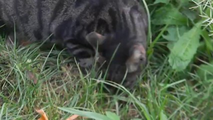 Oğlumla Bursa Namazgah'ta babasının çocukluğunun geçtiği yerleri gezdik Ömer Faruk Terzi , Murat Terzi , (Anneyi evde bıraktık)