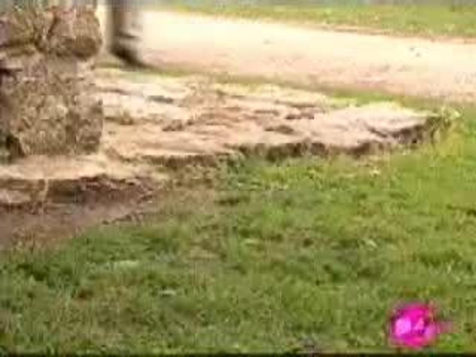 JUAN y NORMA (eva flagra beijos)