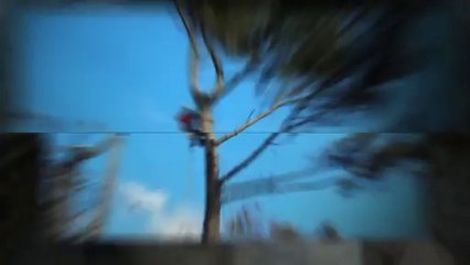 Emergency AAA TREE SERVICE - SANDY 2012