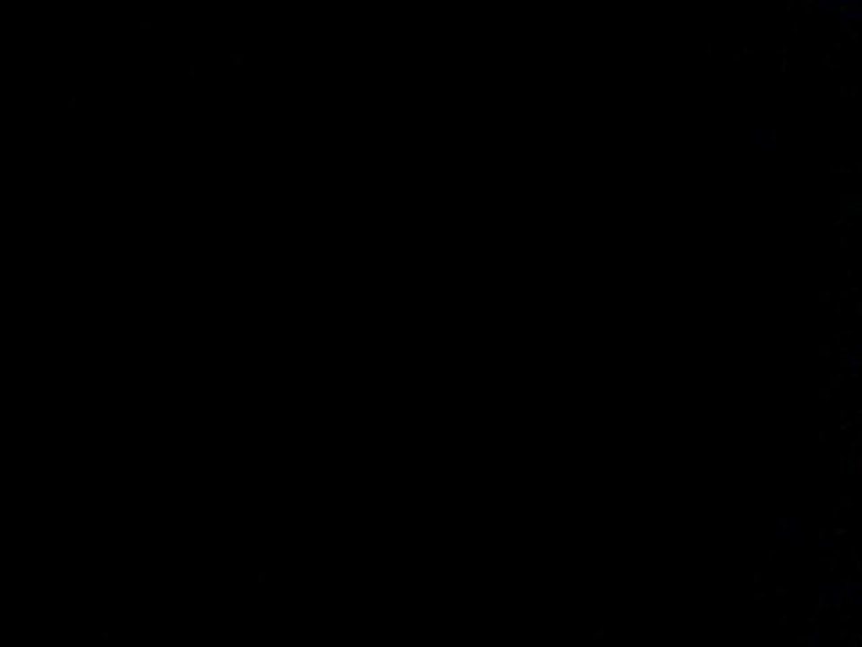 Video1312