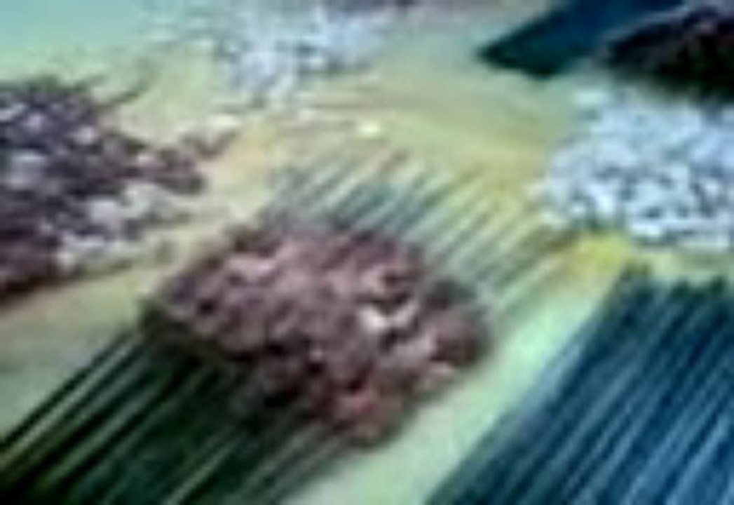 Çöp Şiş Yapımı   Nefis Yemek Tarifi