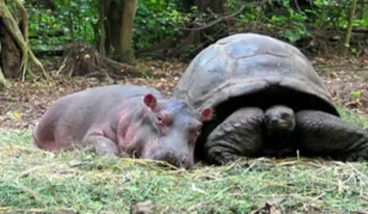 Friends have no barriers...its amazing